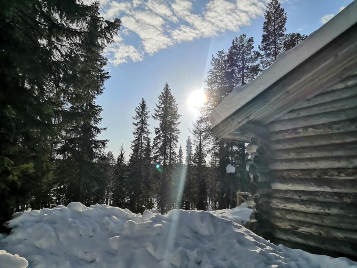 Maentytupa Lodge Syote Exterior photo